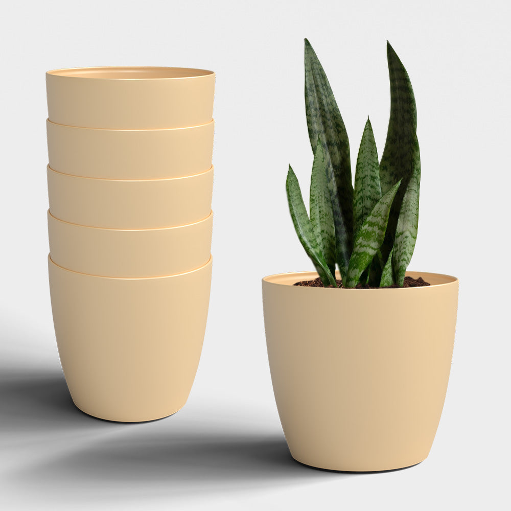 SHERA | STELLA GARDEN PLANTER
