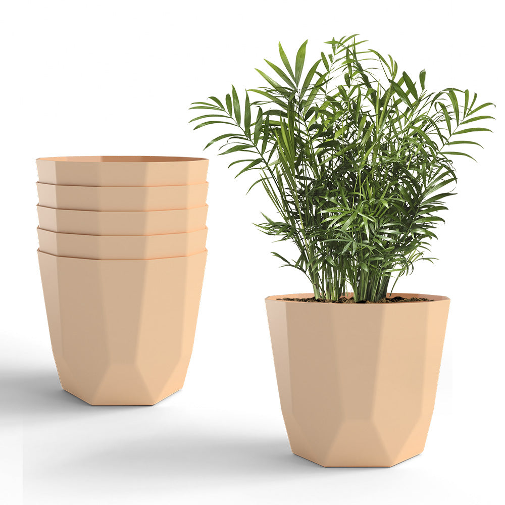 SHERA | HEXA PLANTER