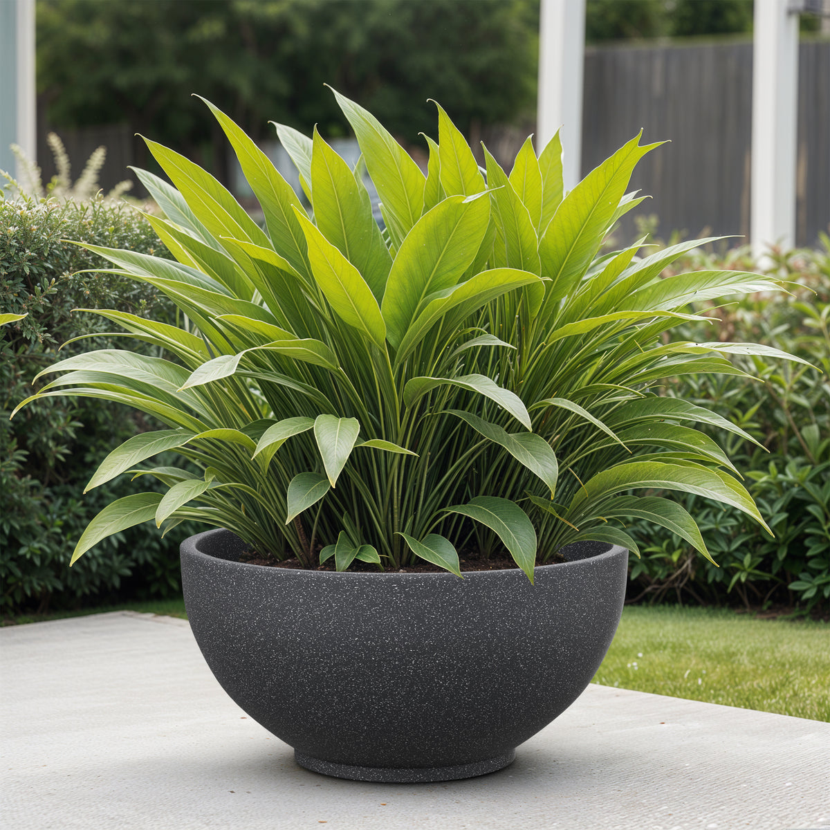 FOX B | KTR PLANTER