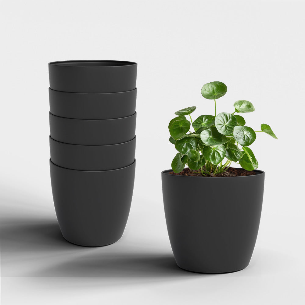 SHERA | STELLA PLANTER