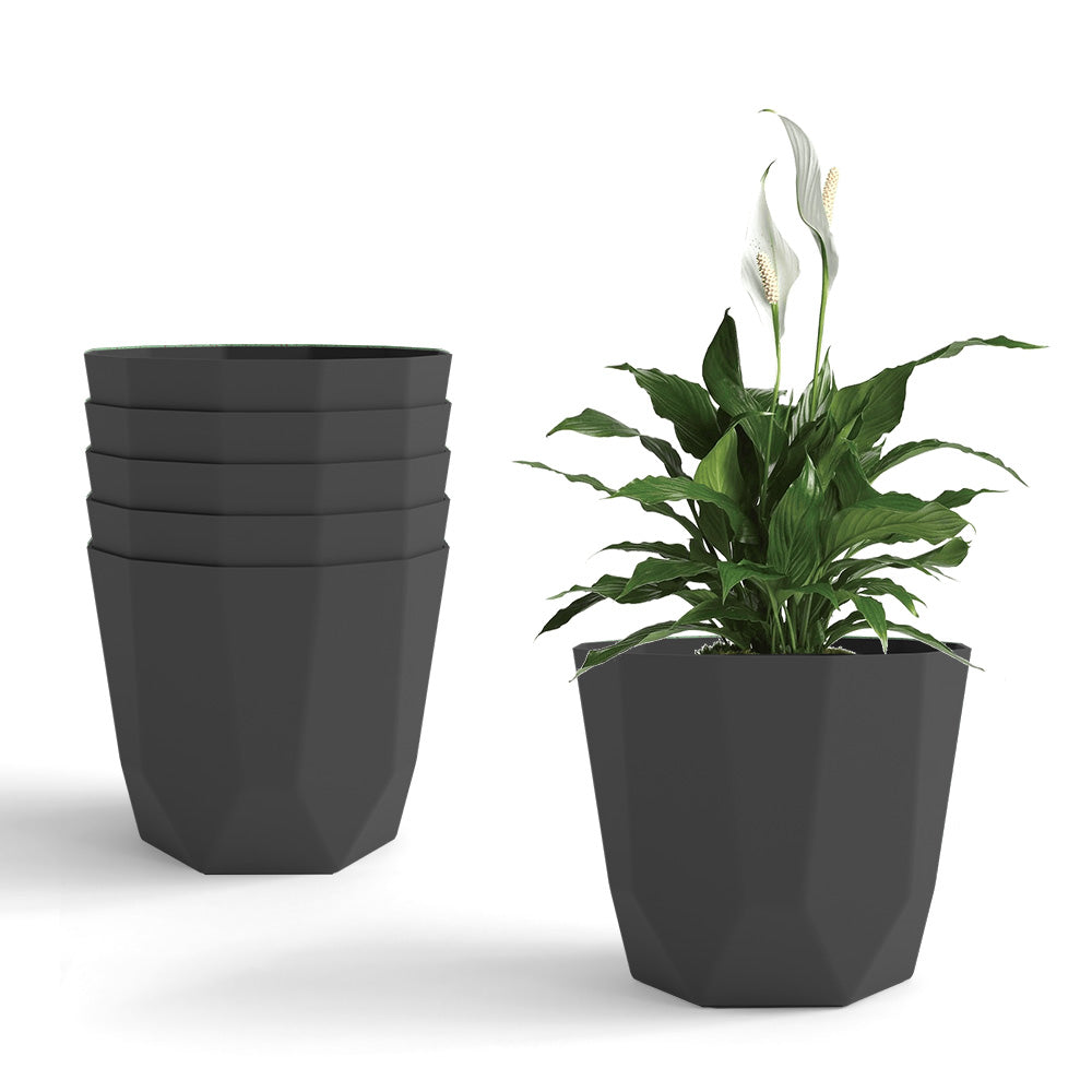 SHERA | HEXA PLANTER