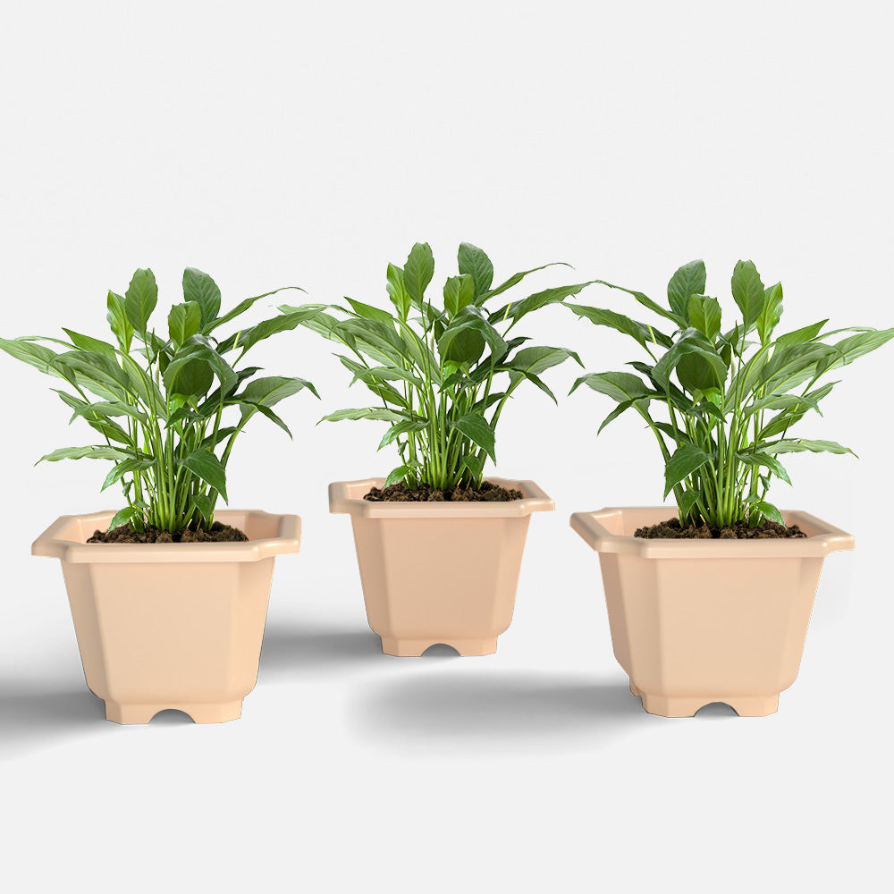 SHERA | OCTA PLANTER SET OF 3