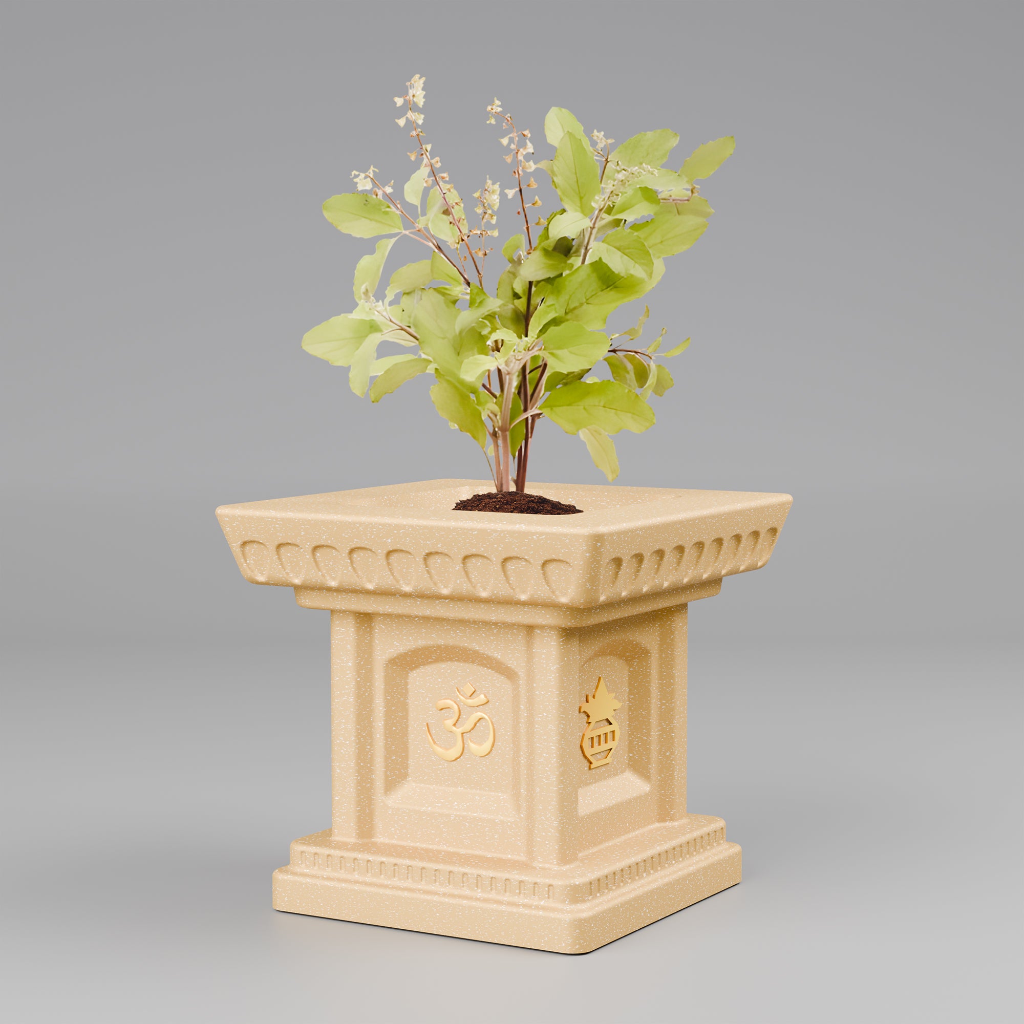 FOX B | TULSI PLANTER