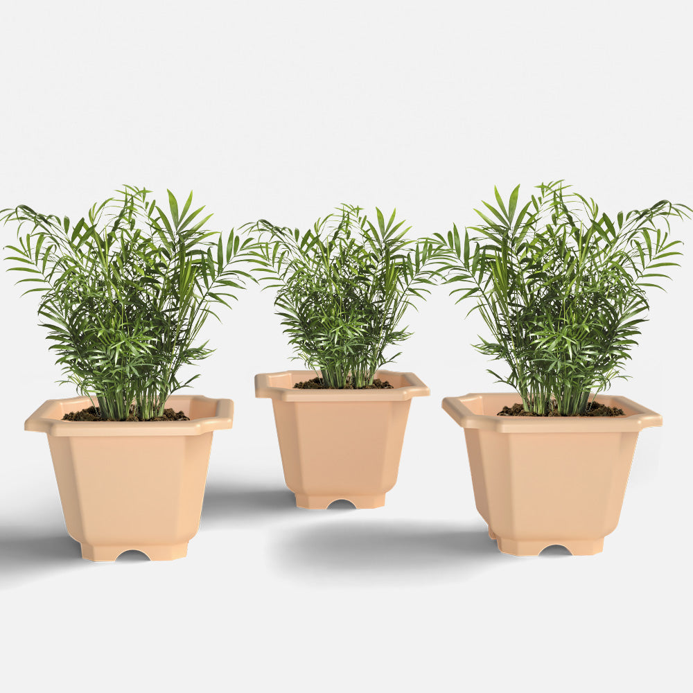 SHERA | OCTA PLANTER SET OF 3