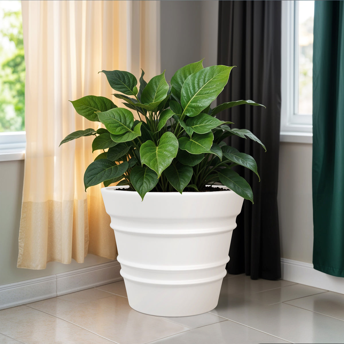 FOX B | BR PLANTER