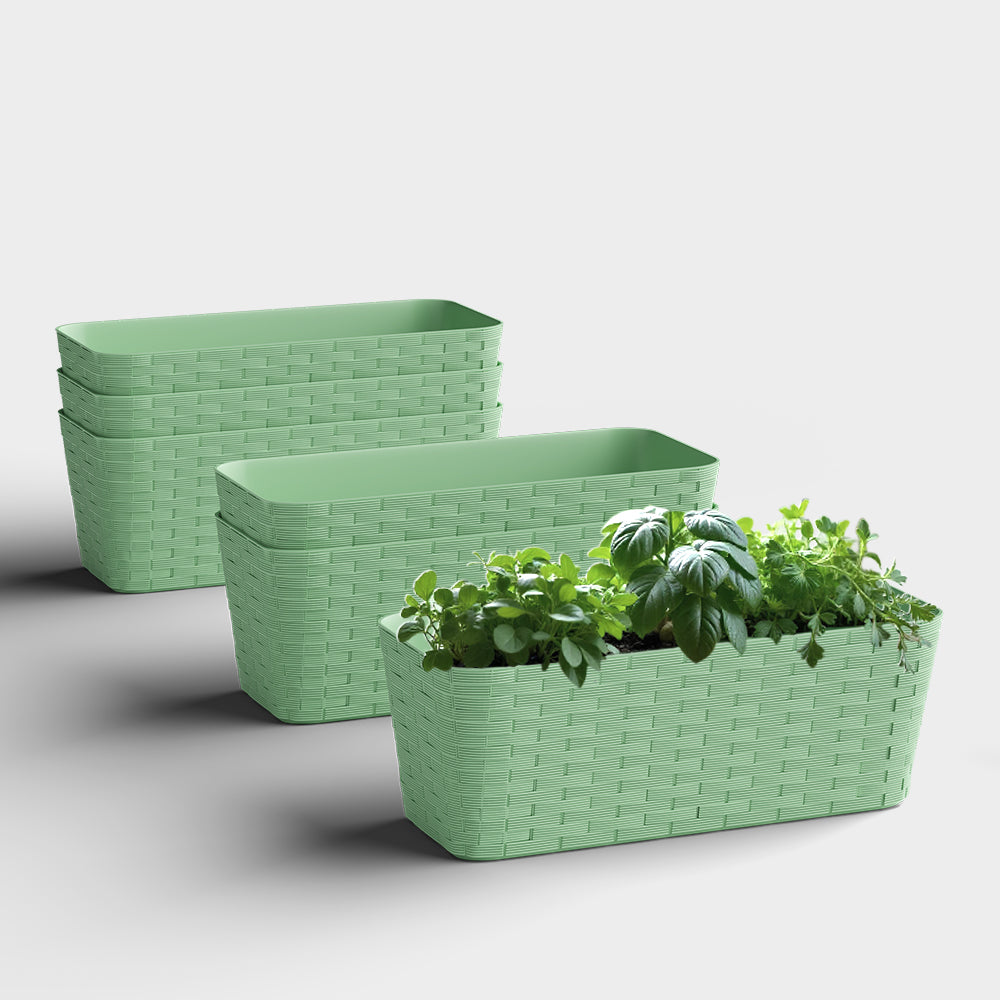 SHERA | RATTAN TRAY
