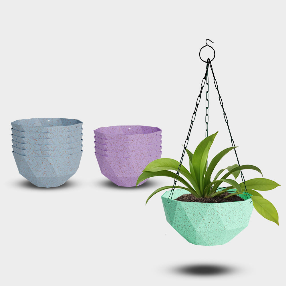 SHERA | DMD KTR BIO HANGING