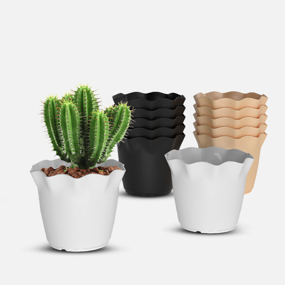 SHERA | FLOWER PLANTER