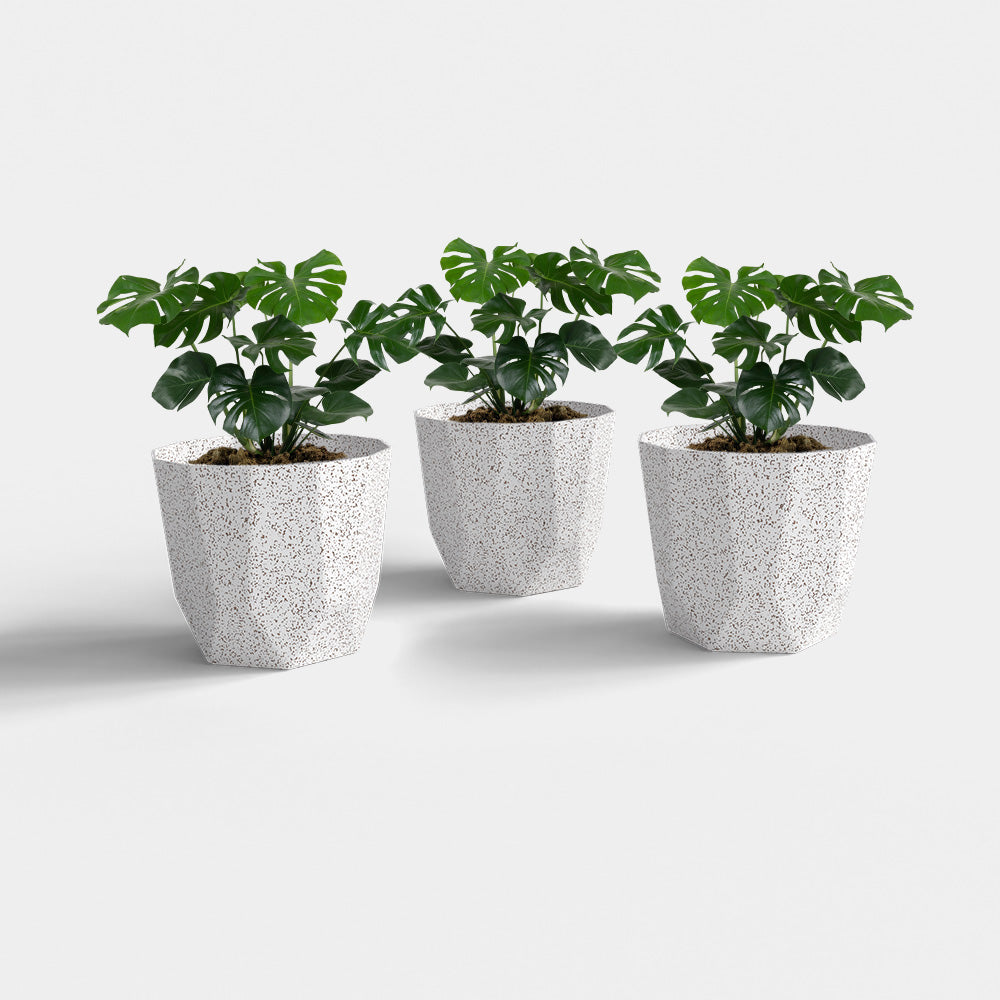 SHERA | HEXA PLANTER