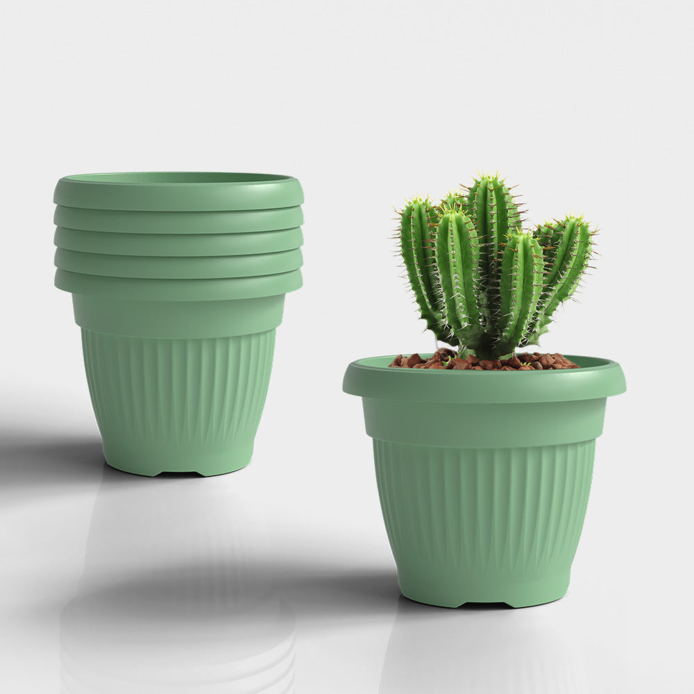 SHERA | BLOOM PLANTER