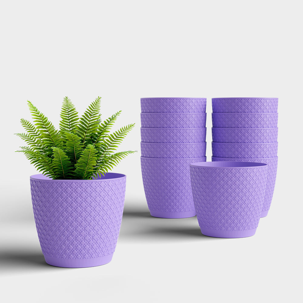 SHERA | CRUZ PLANTER