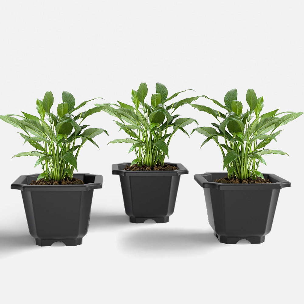 SHERA | OCTA PLANTER SET OF 3