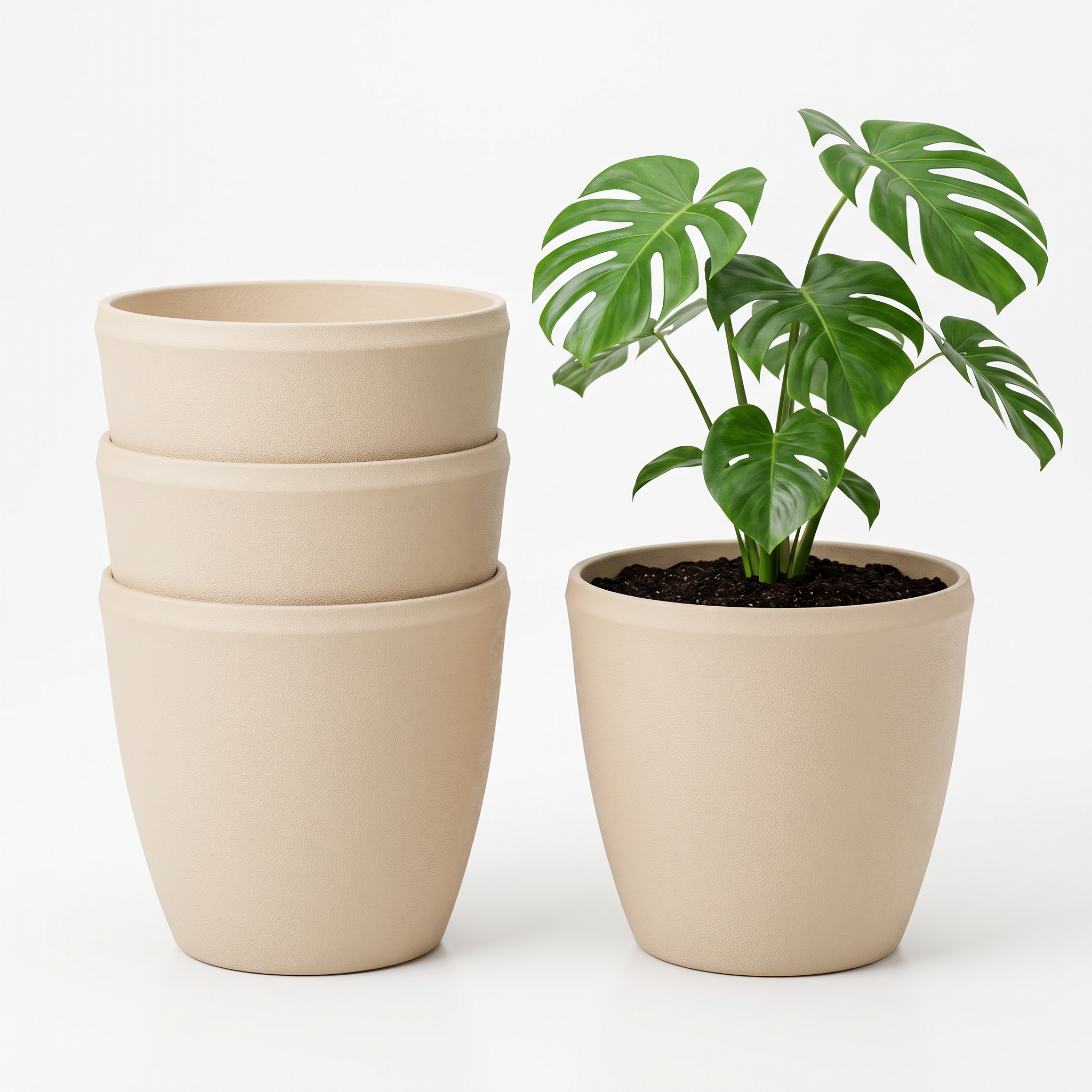 SHERA | STELLA E PLANTER