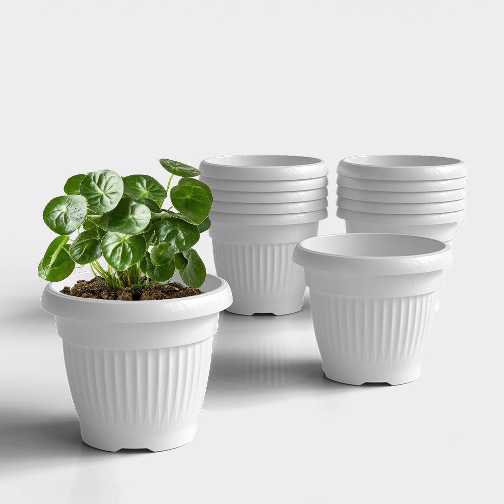 SHERA | BLOOM PLANTER