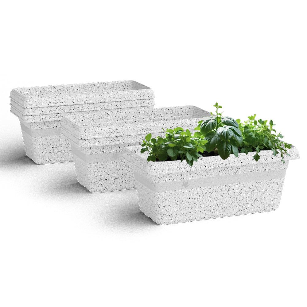 SHERA | TP PLANTER