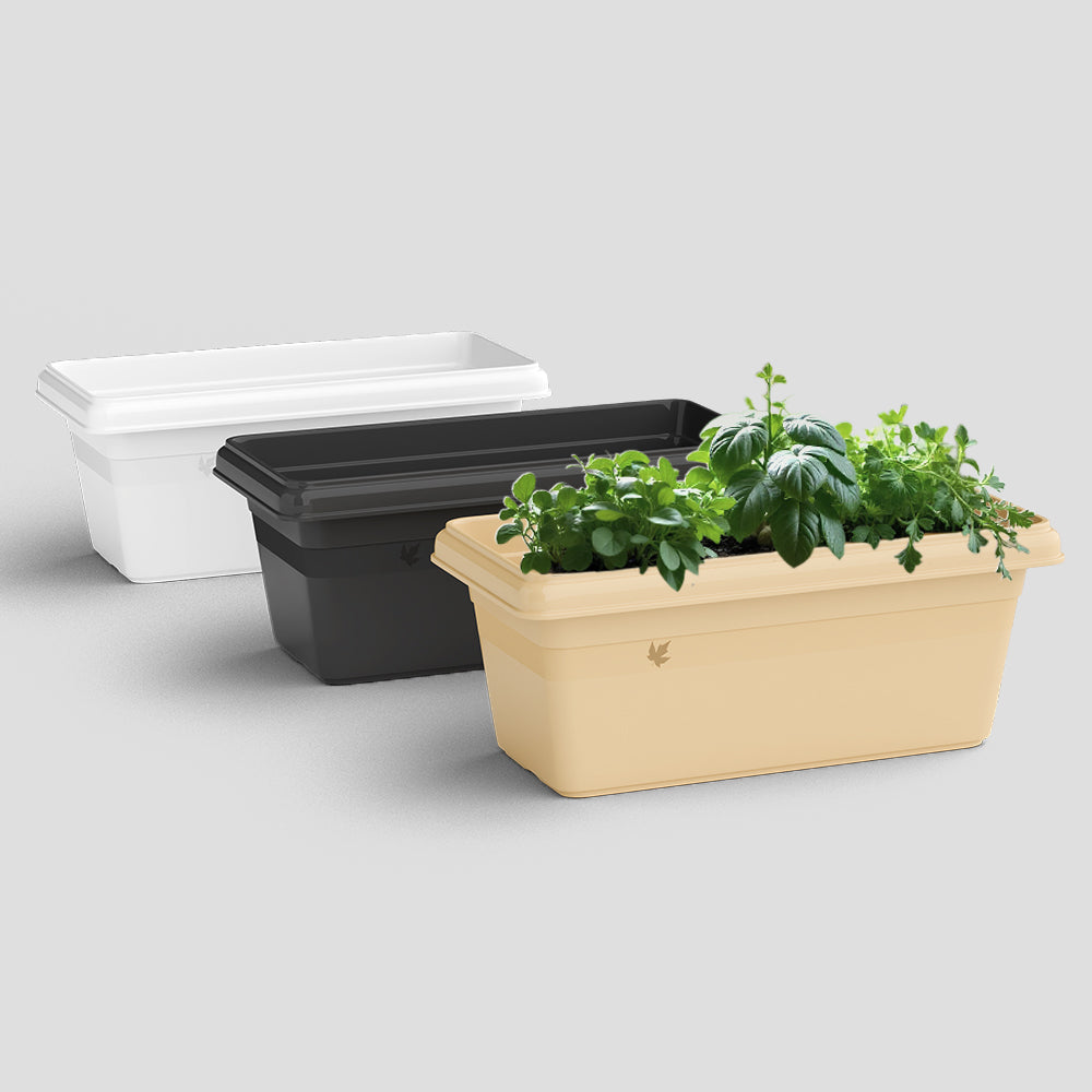 SHERA | TP PLANTER