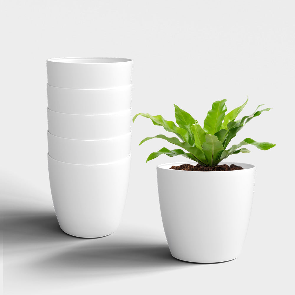 SHERA | STELLA PLANTER