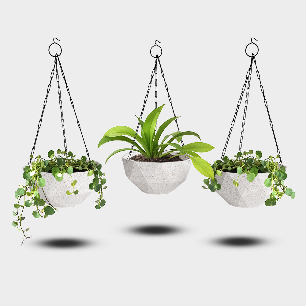 SHERA | DMD KTR BIO HANGING