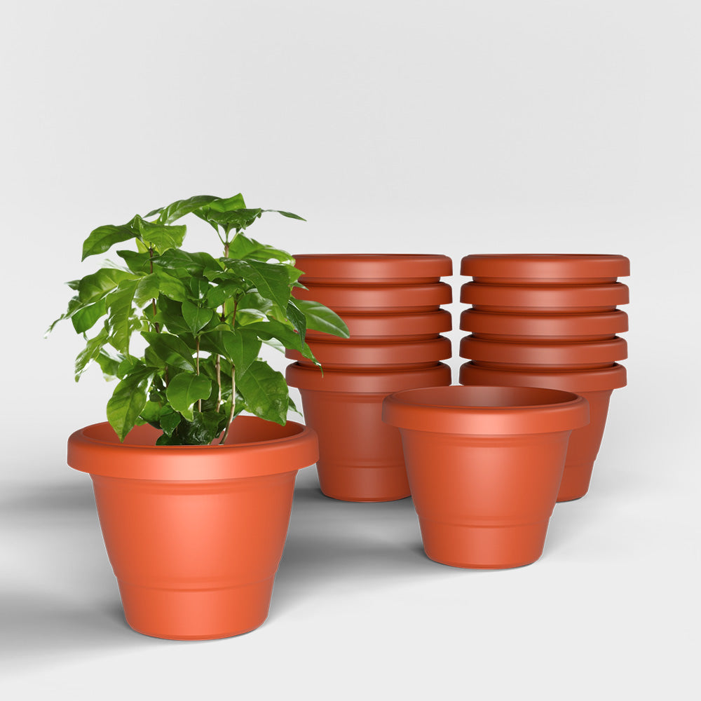 SHERA | SD PLANTER