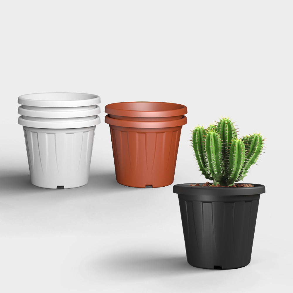 SHERA | CROWN PLANTER