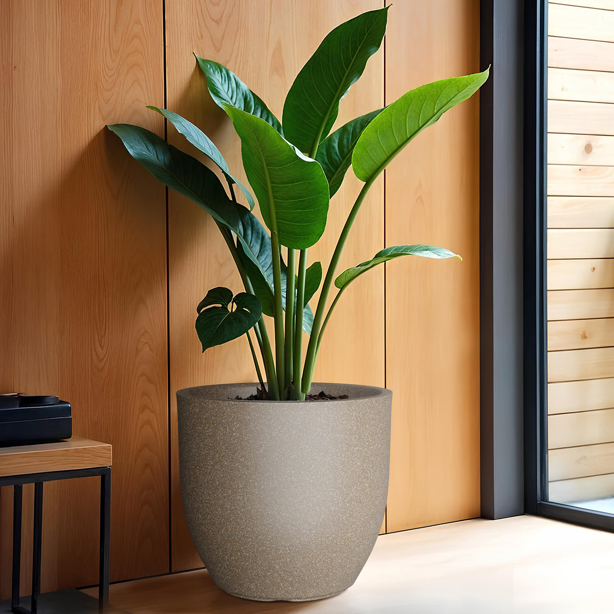 FOX B | P CUP PLANTER 17 INCH TO 40 INCH