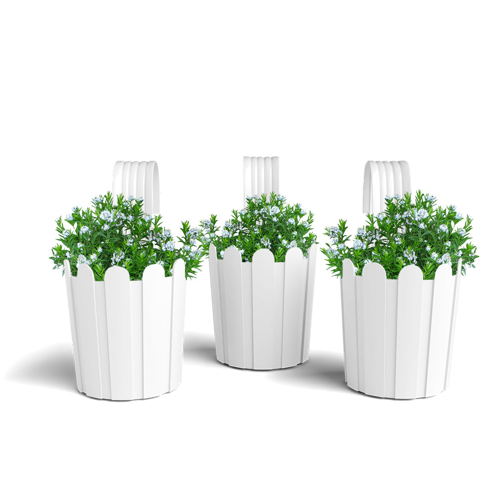 SHERA | FENCE WRL PLANTER