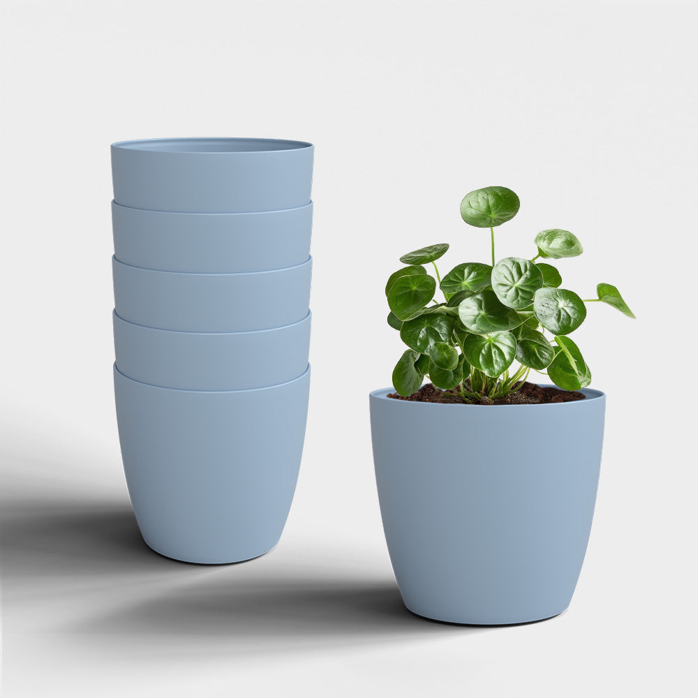 SHERA | STELLA PLANTER