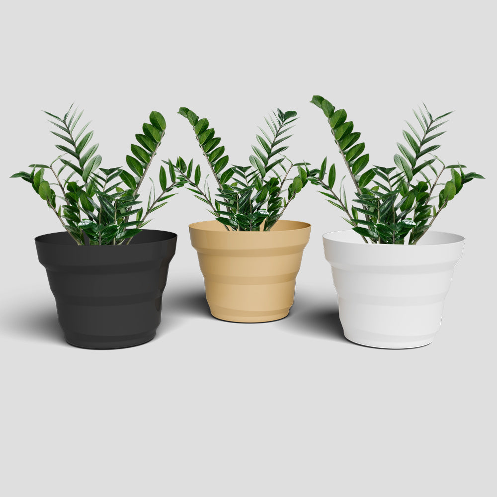 SHERA | RING PLANTER