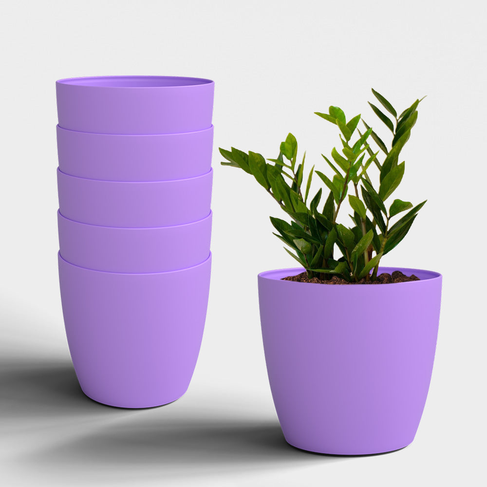 SHERA | STELLA PLANTER
