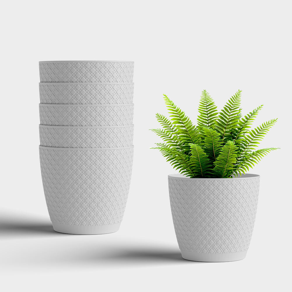 SHERA | CRUZ PLANTER