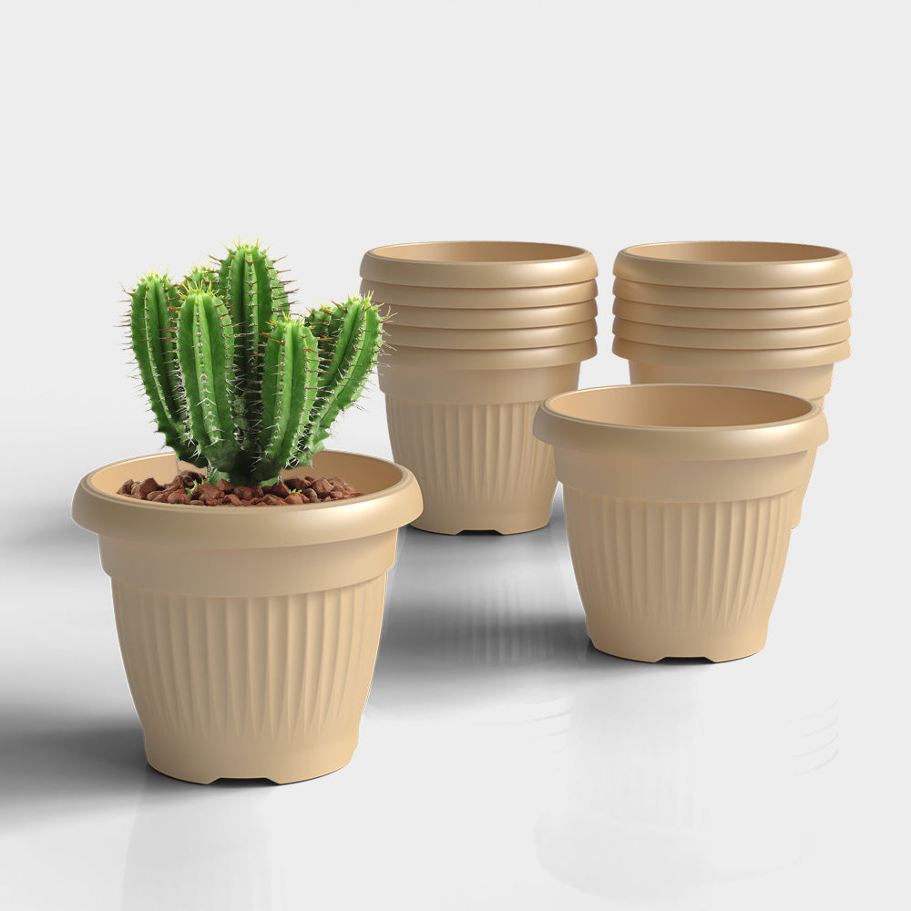 SHERA | BLOOM PLANTER