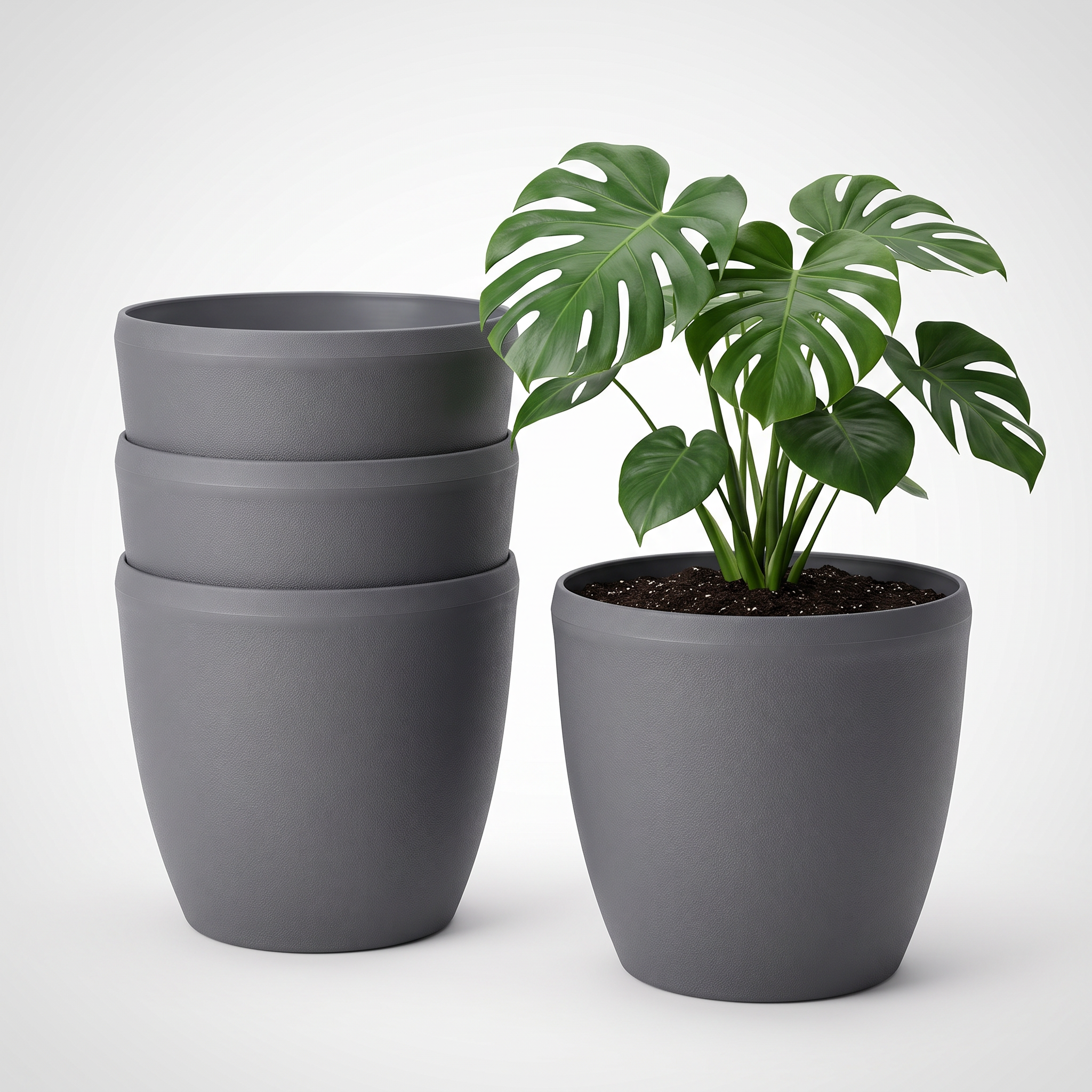 SHERA | STELLA E PLANTER