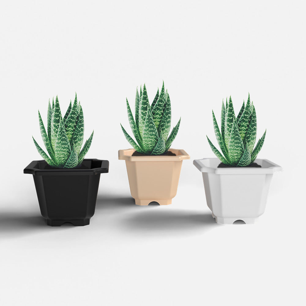 SHERA | OCTA PLANTER SET OF 3