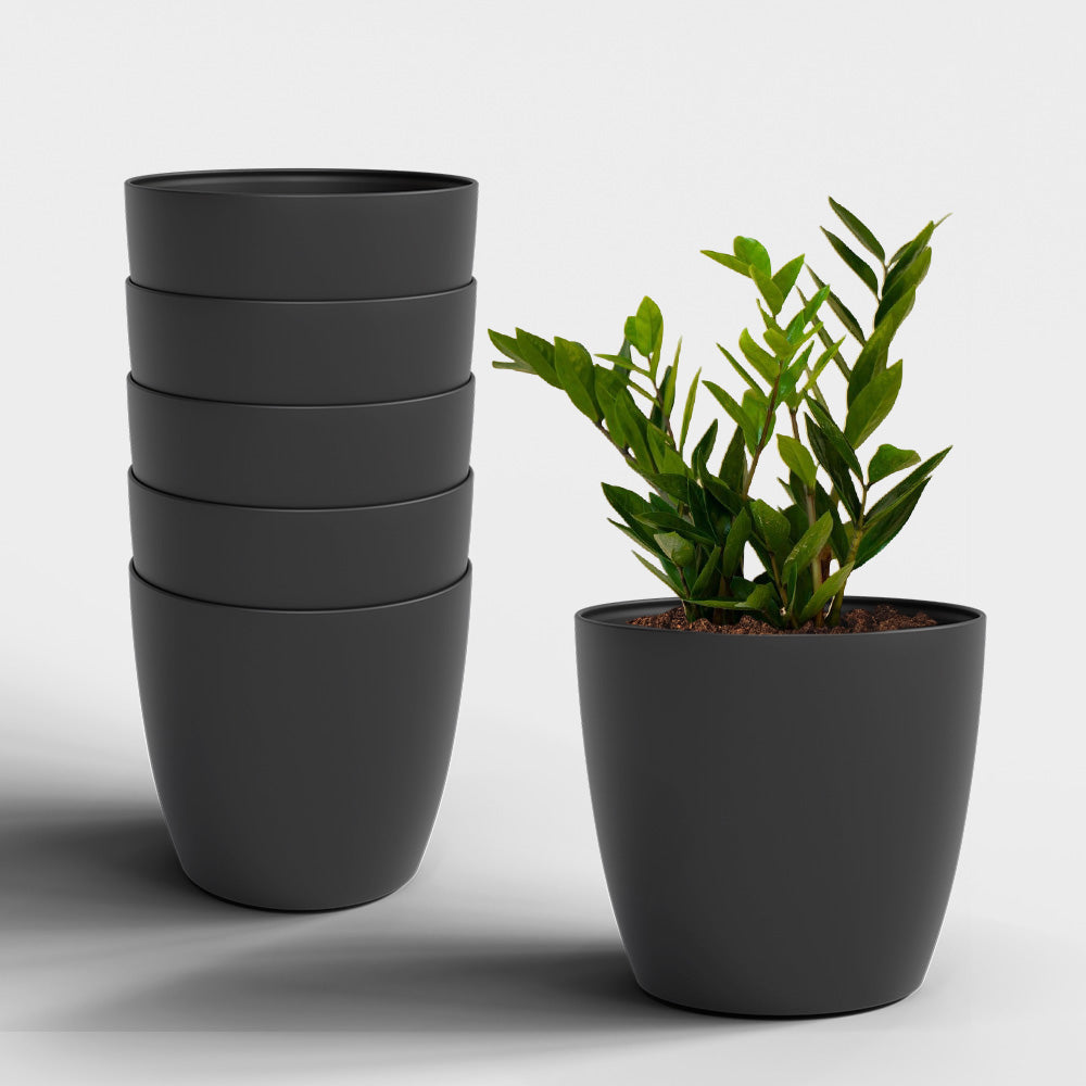 SHERA | STELLA PLANTER