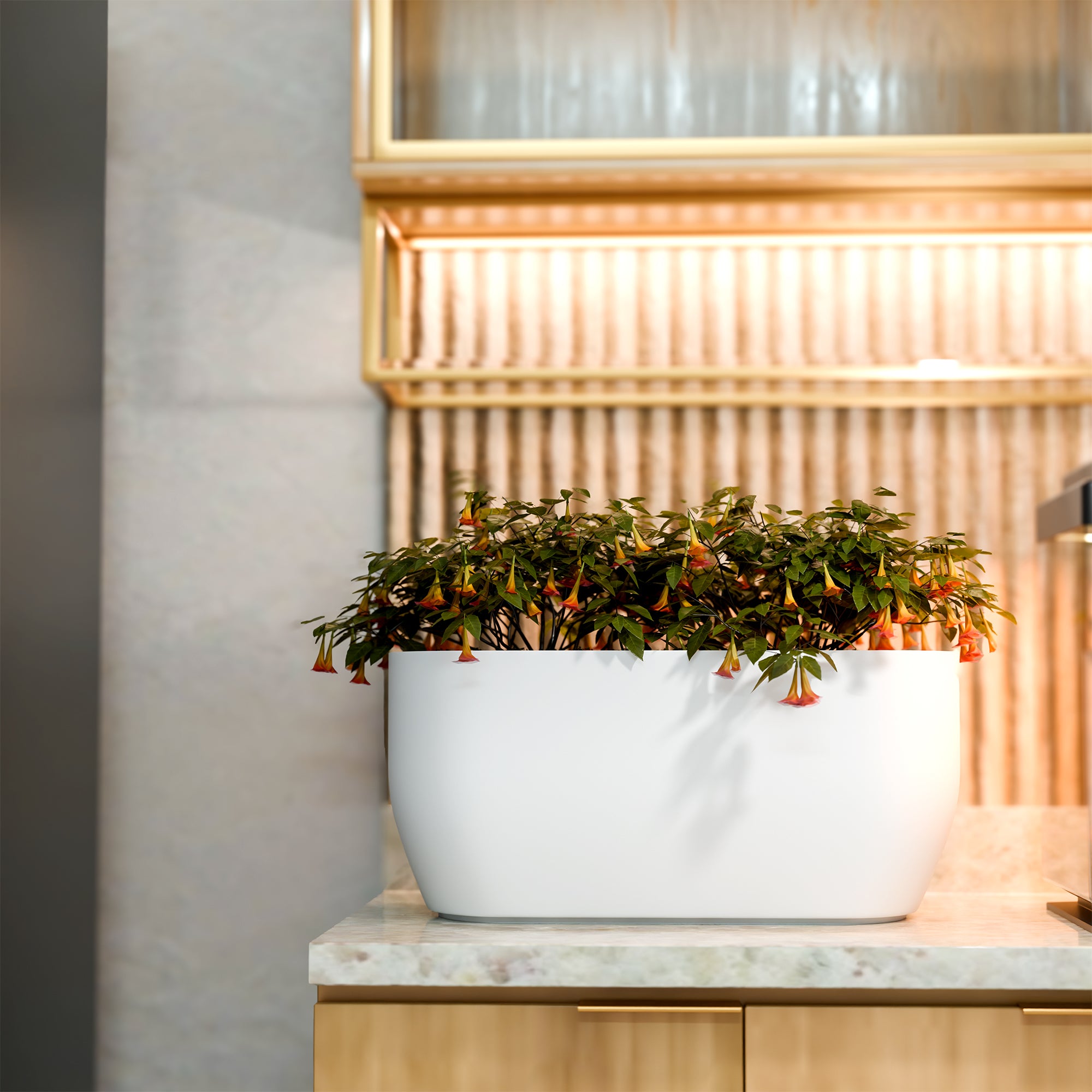FOX B | PCTR PLANTER