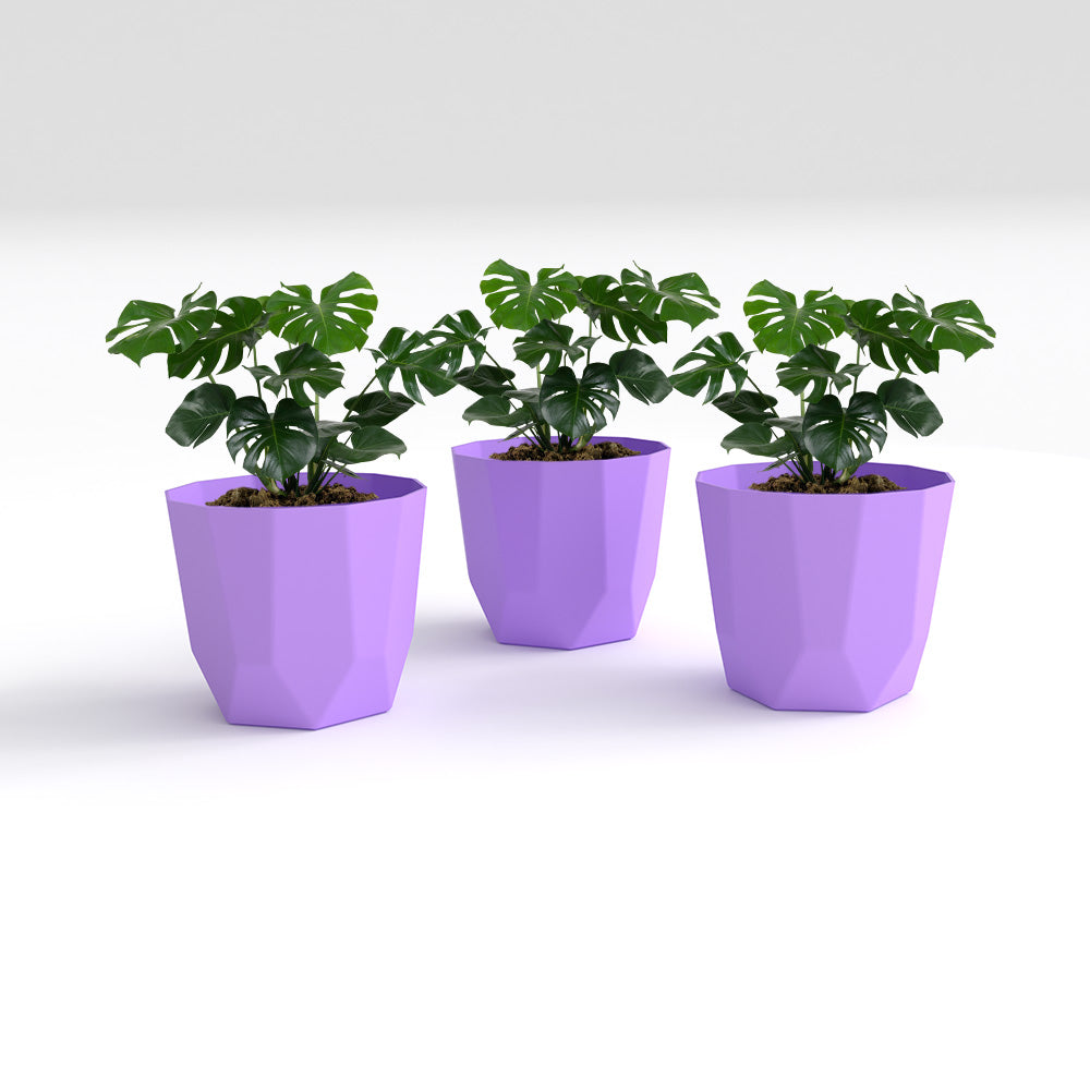 SHERA | HEXA PLANTER