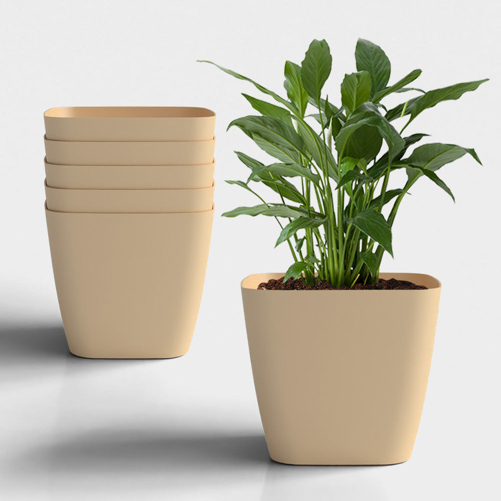 SHERA | STOIC PLANTER