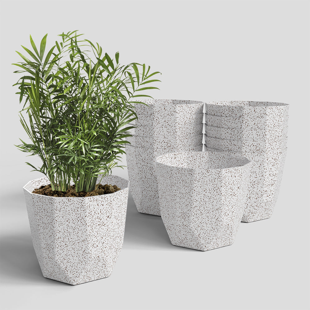 SHERA | HEXA PLANTER