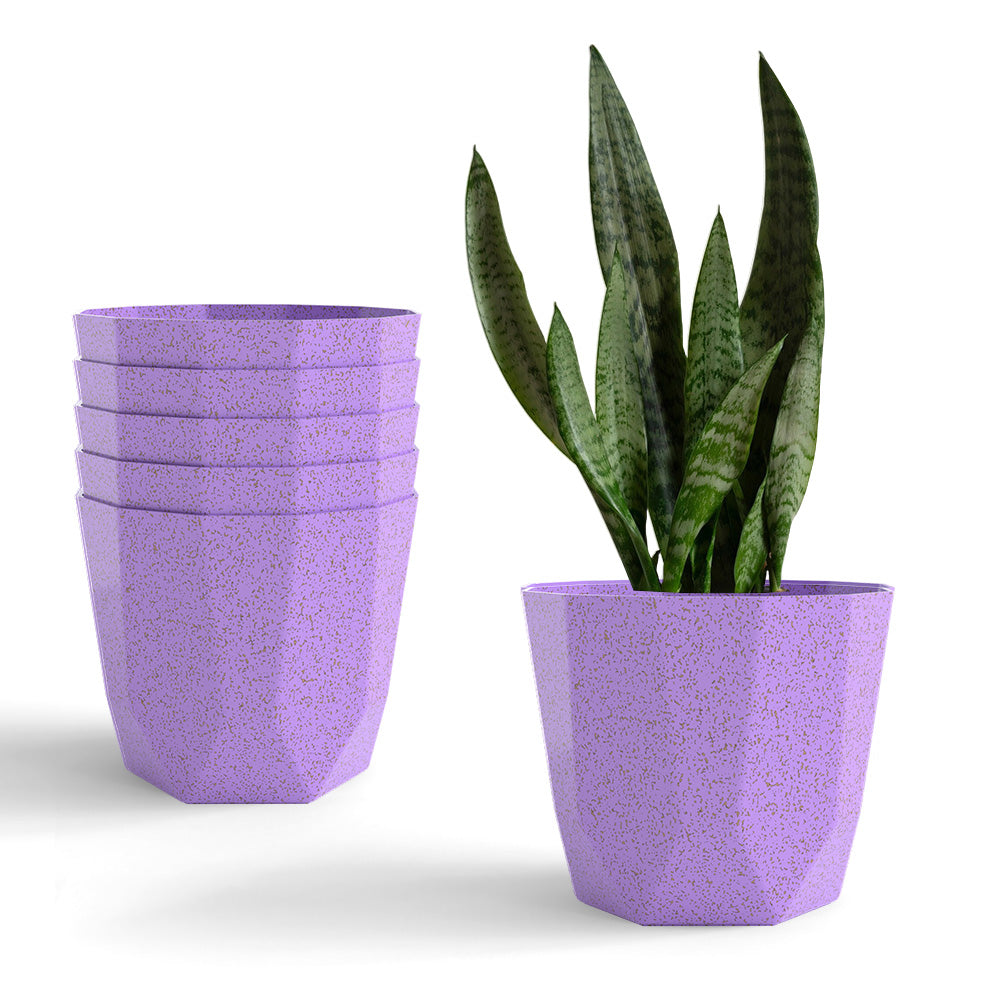 SHERA | HEXA BIO PLANTER