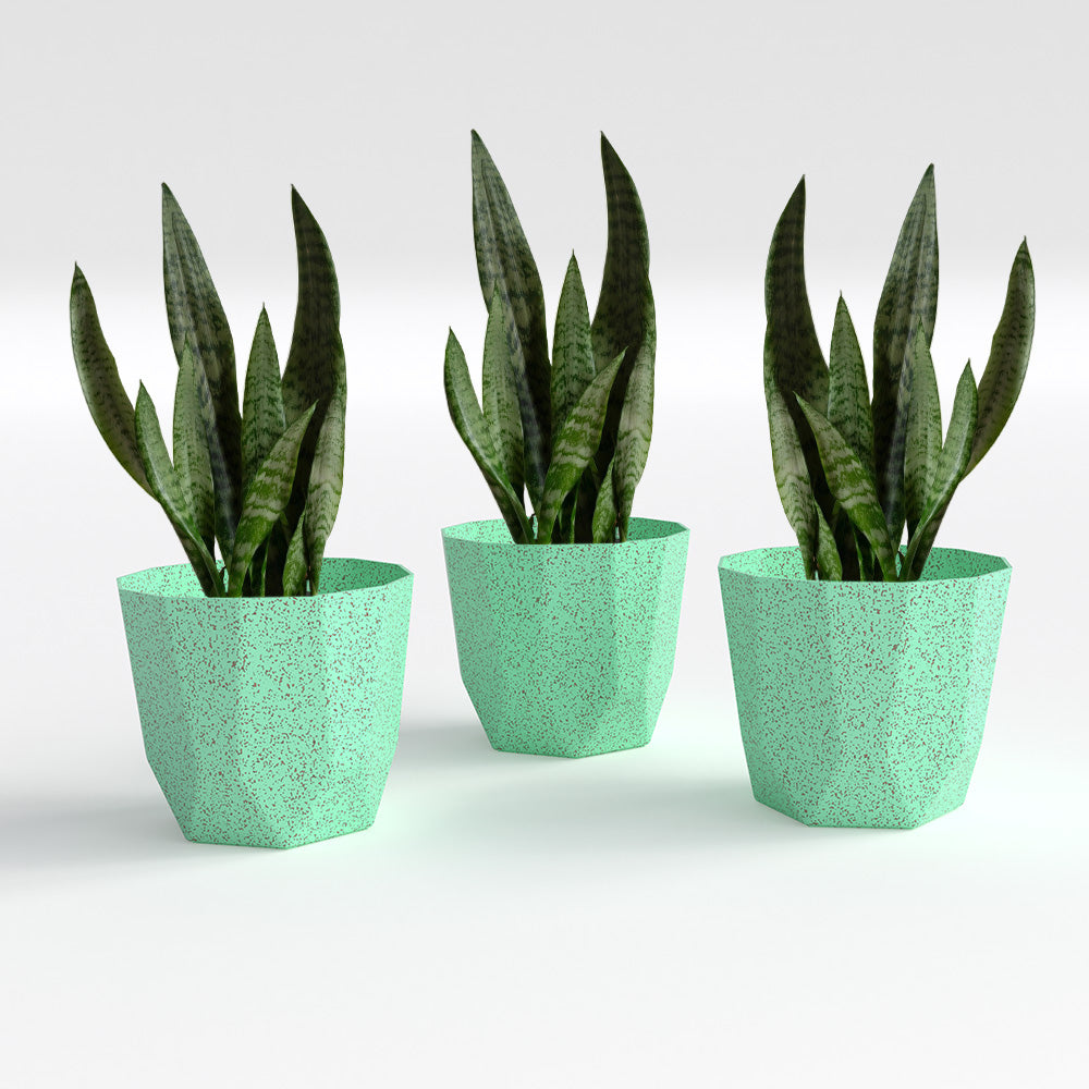 SHERA | HEXA BIO PLANTER