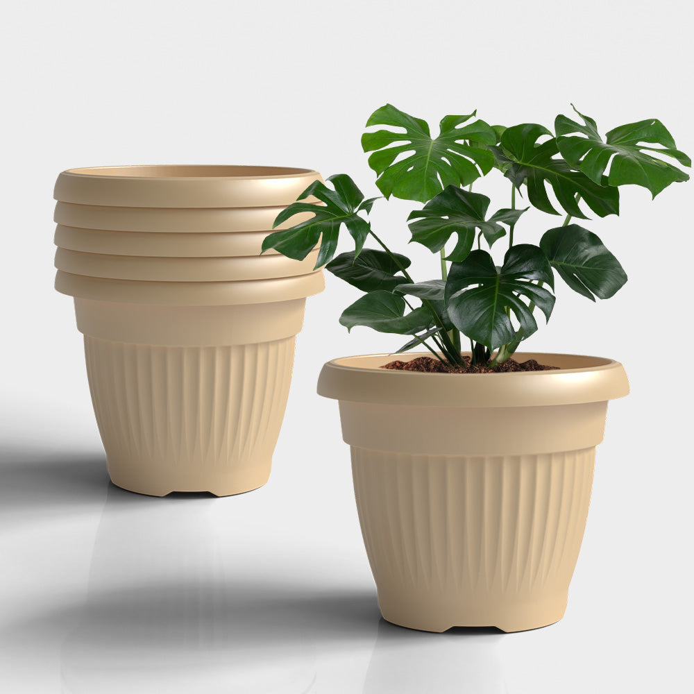 SHERA | BLOOM PLANTER