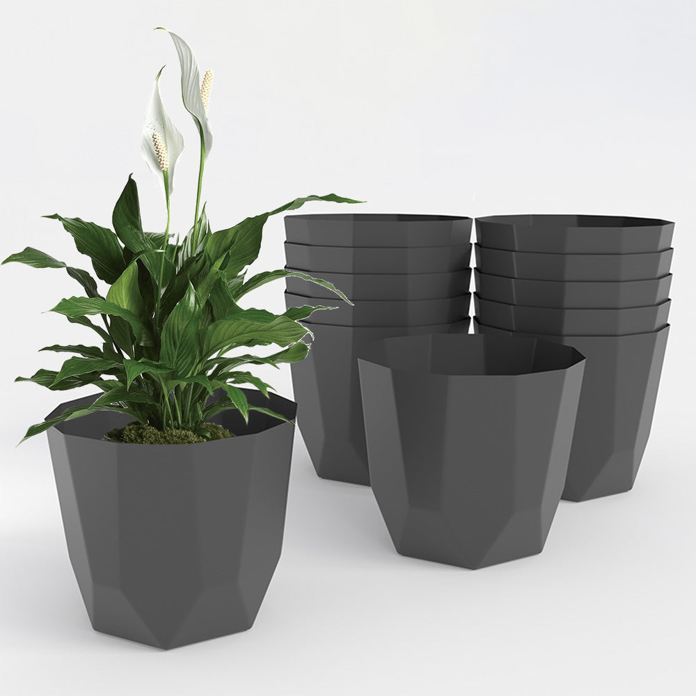 SHERA | HEXA PLANTER