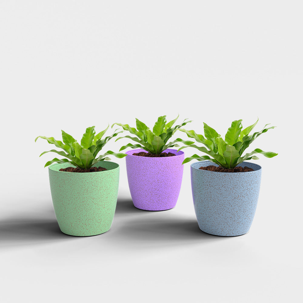 SHERA | STELLA BIO PLANTER
