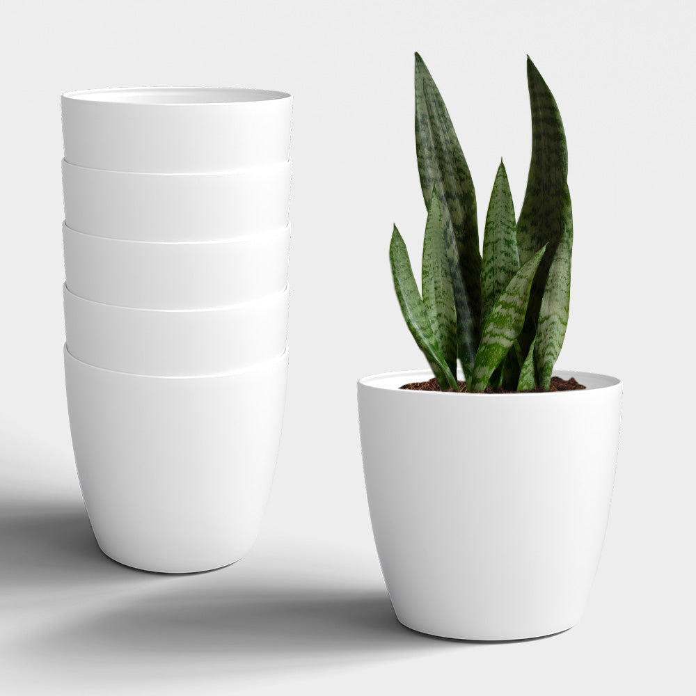 SHERA | STELLA GARDEN PLANTER