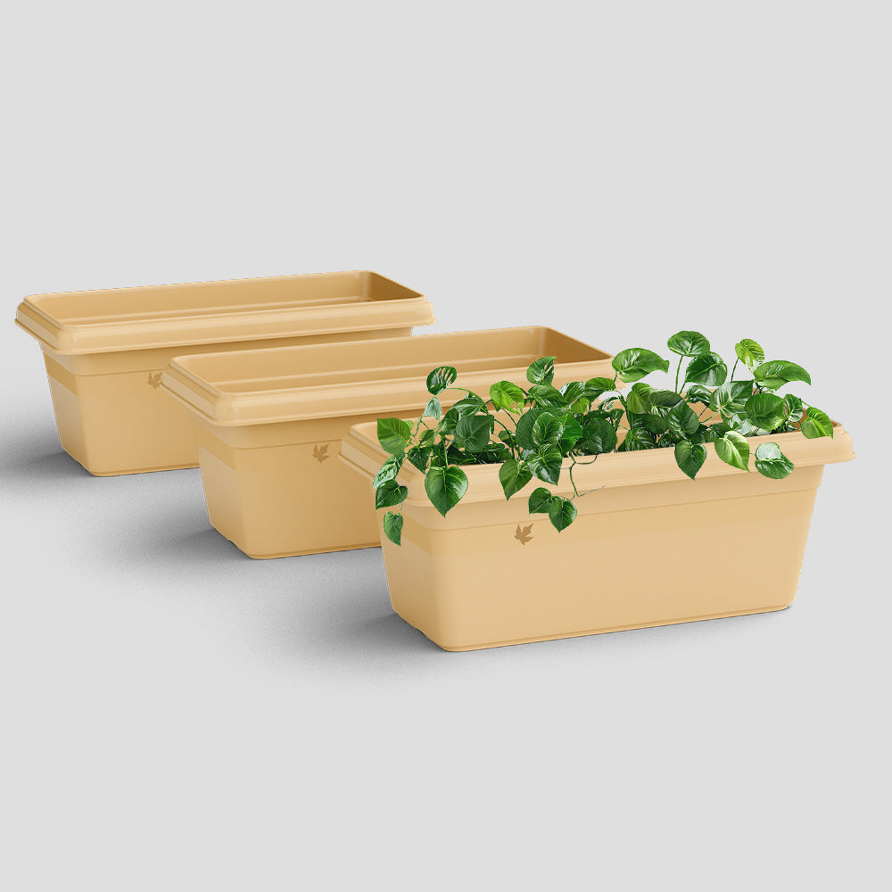 SHERA | TP PLANTER