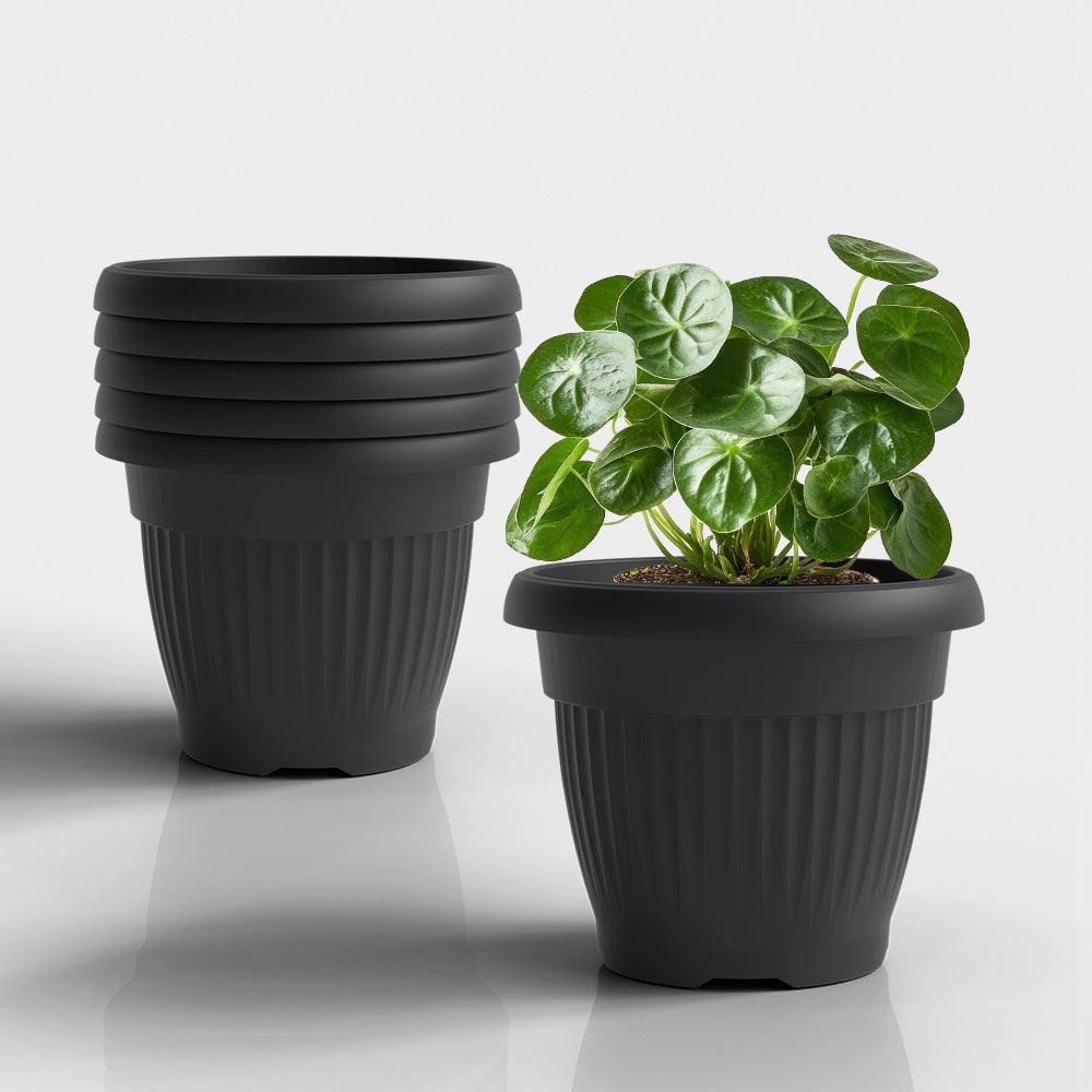 SHERA | BLOOM PLANTER