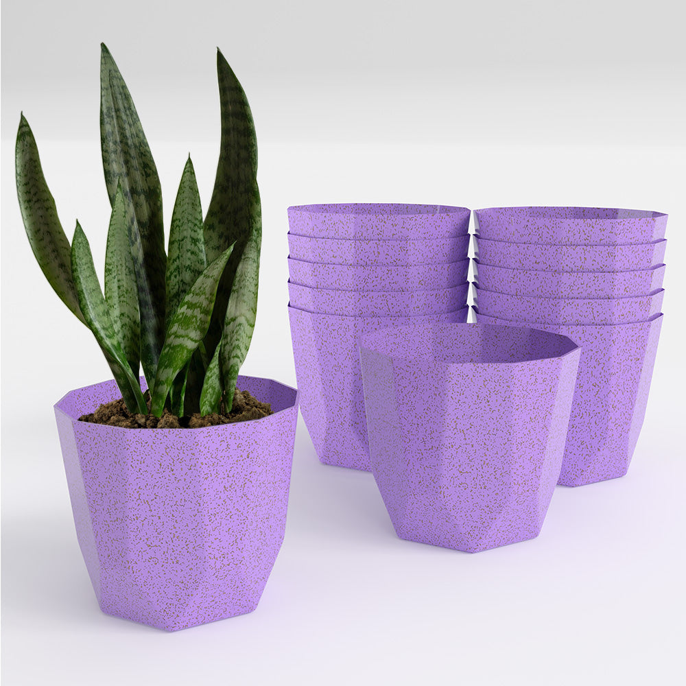 SHERA | HEXA BIO PLANTER