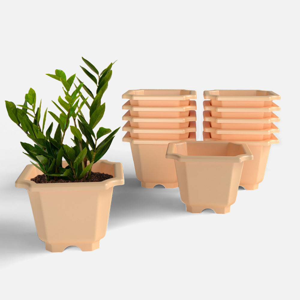 SHERA | OCTA PLANTER SET OF 12
