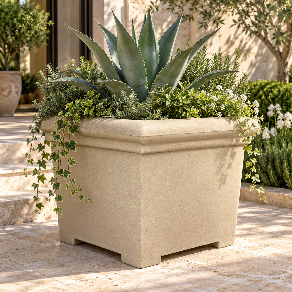 FOX B | BS PLANTER