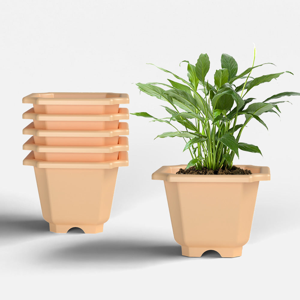 SHERA | OCTA PLANTER SET OF 6